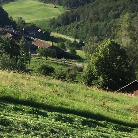 Ferienwohnung Hof Unterer Duerrenberg Langenbruck Exteriör bild