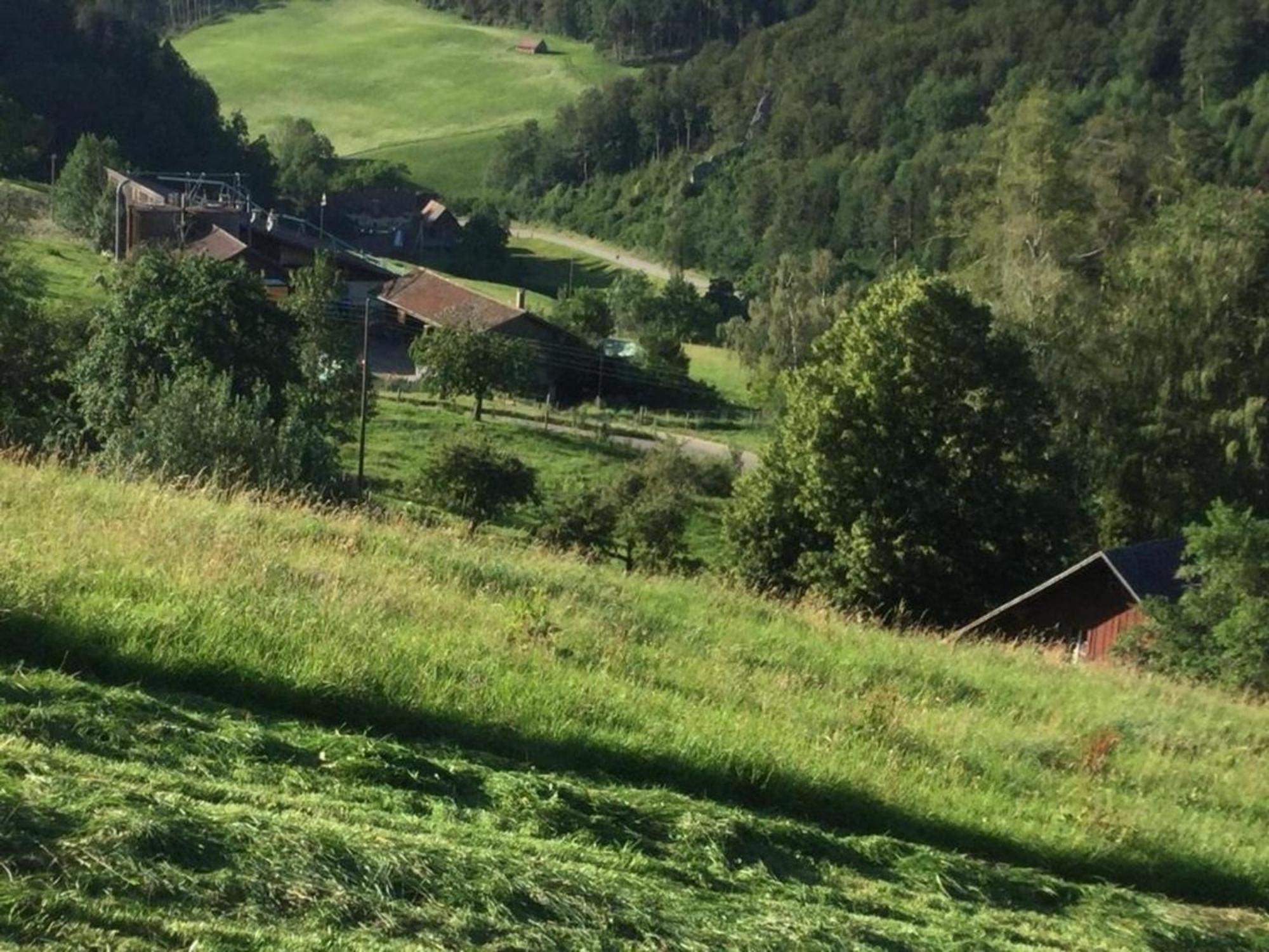 Ferienwohnung Hof Unterer Duerrenberg Langenbruck Exteriör bild